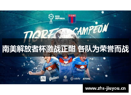 南美解放者杯激战正酣 各队为荣誉而战
